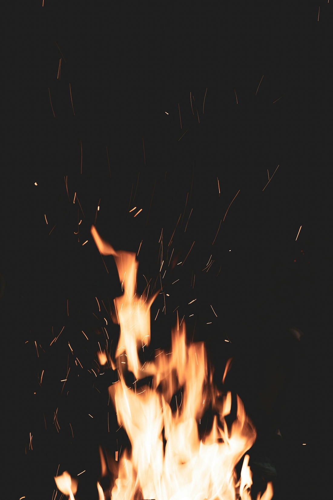 fire in the dark during night time