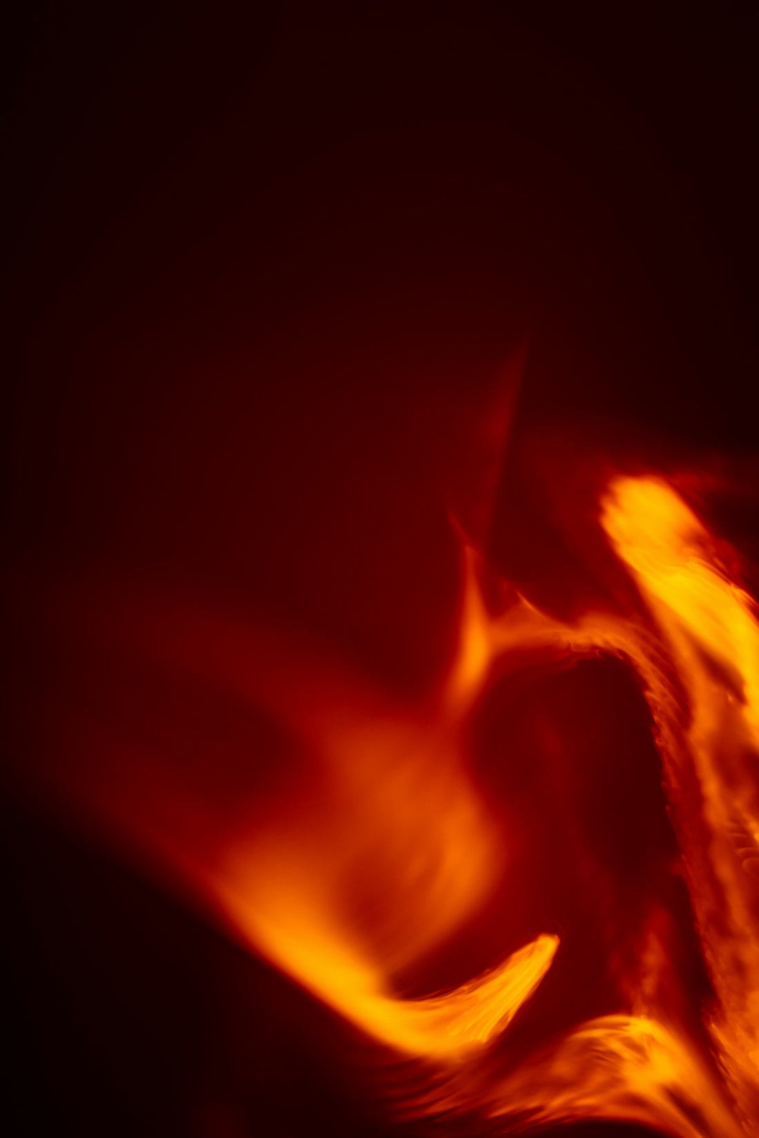 a close-up of a fire
